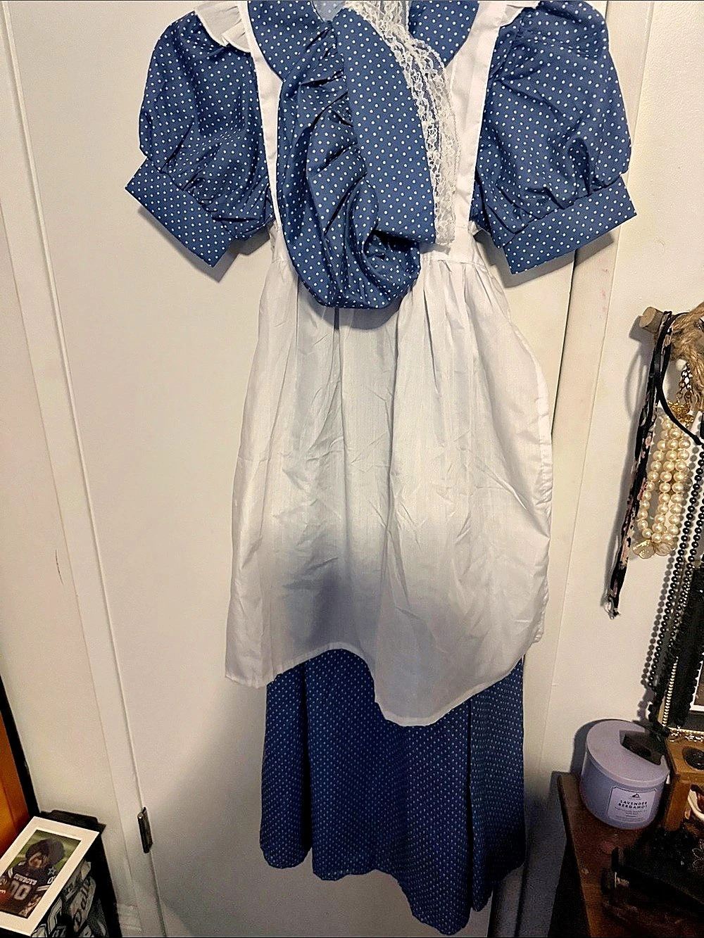Blue & White Polka Dot Maxi Dress - Little house on the Prairie costume
